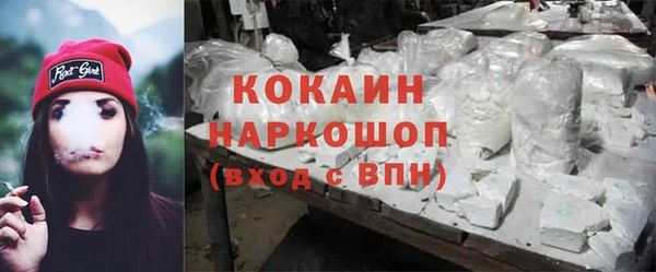 первитин Богданович