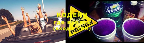 дживик Белокуриха