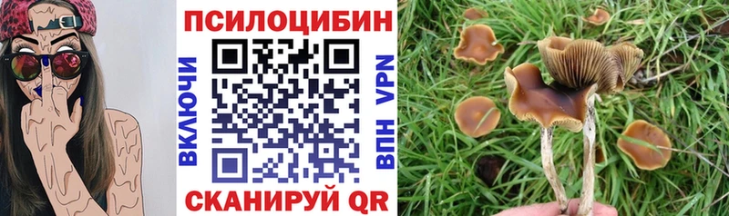 hydra как зайти  Сердобск  Псилоцибиновые грибы GOLDEN TEACHER 
